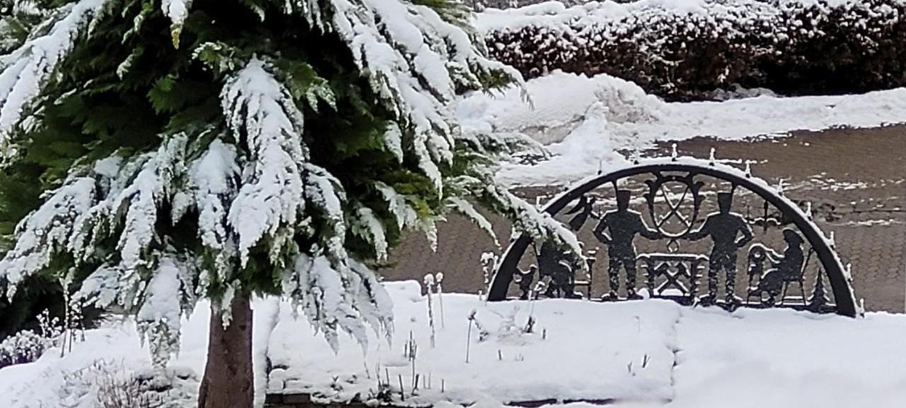 Fewo Harz Haennig 1 Wieda Eksteriør bilde