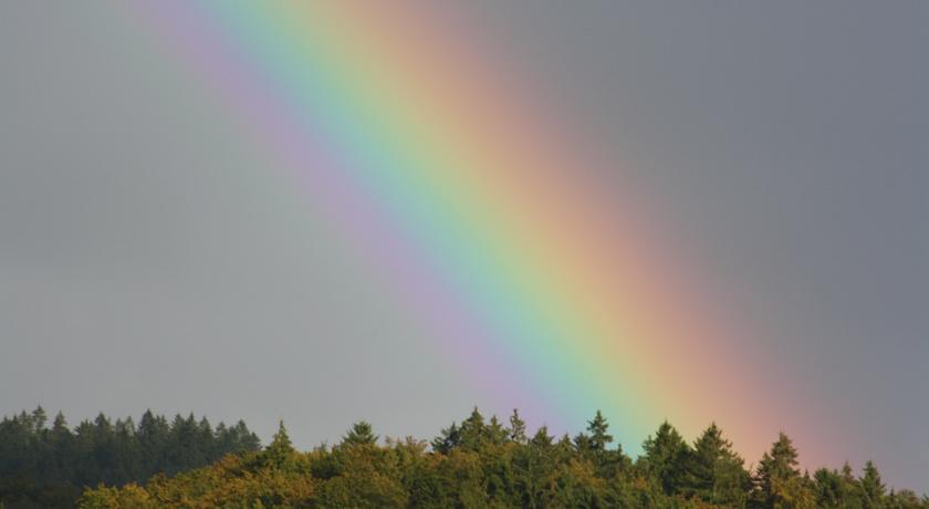 Fewo Harz Haennig 1 Wieda Rom bilde